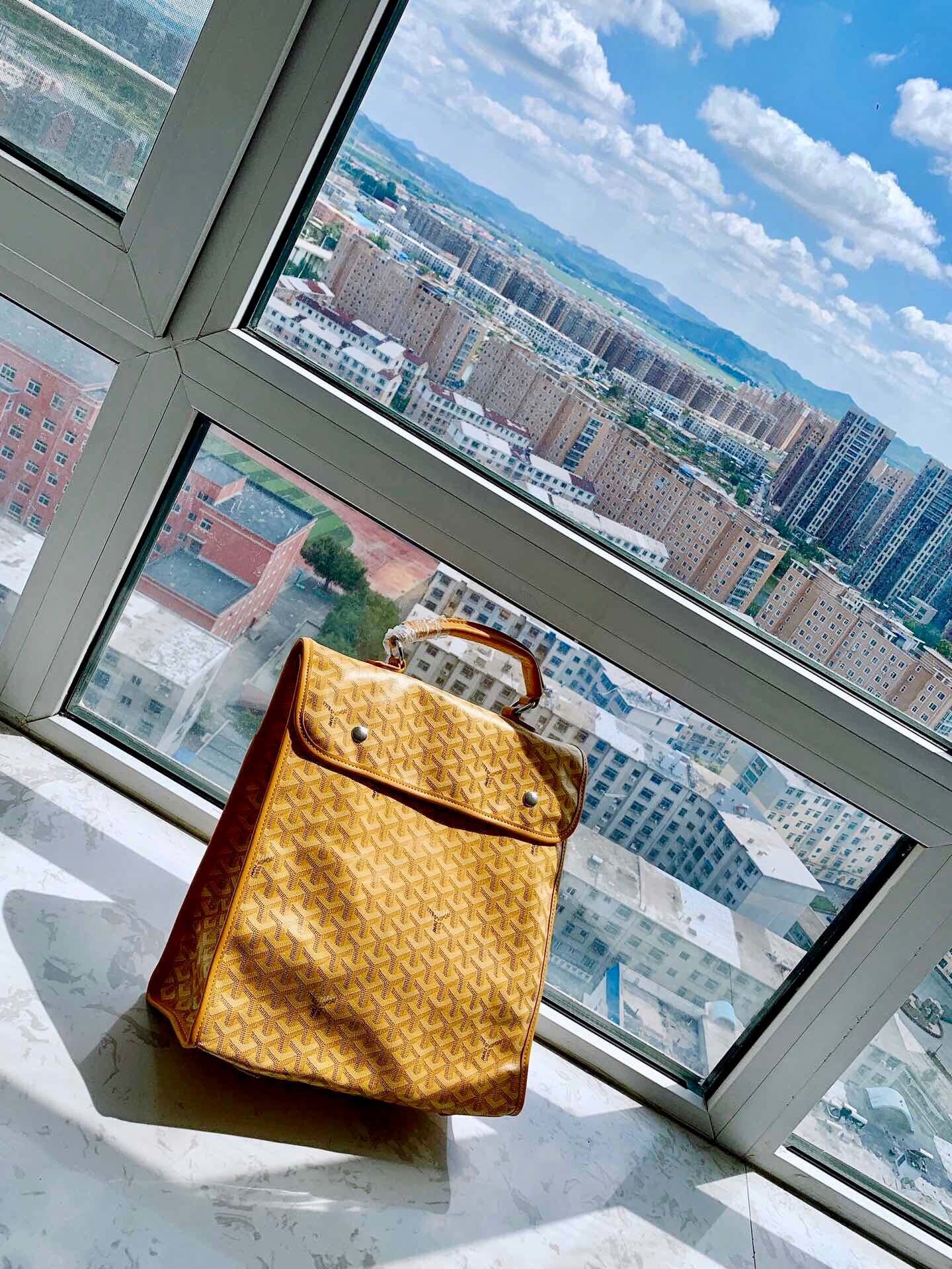 スーパーコピー代引き対応 ゴヤール Goyard バッグ 実物の写真 N品後払い国内発送送料無料安全必ず届く信用できるサイト
