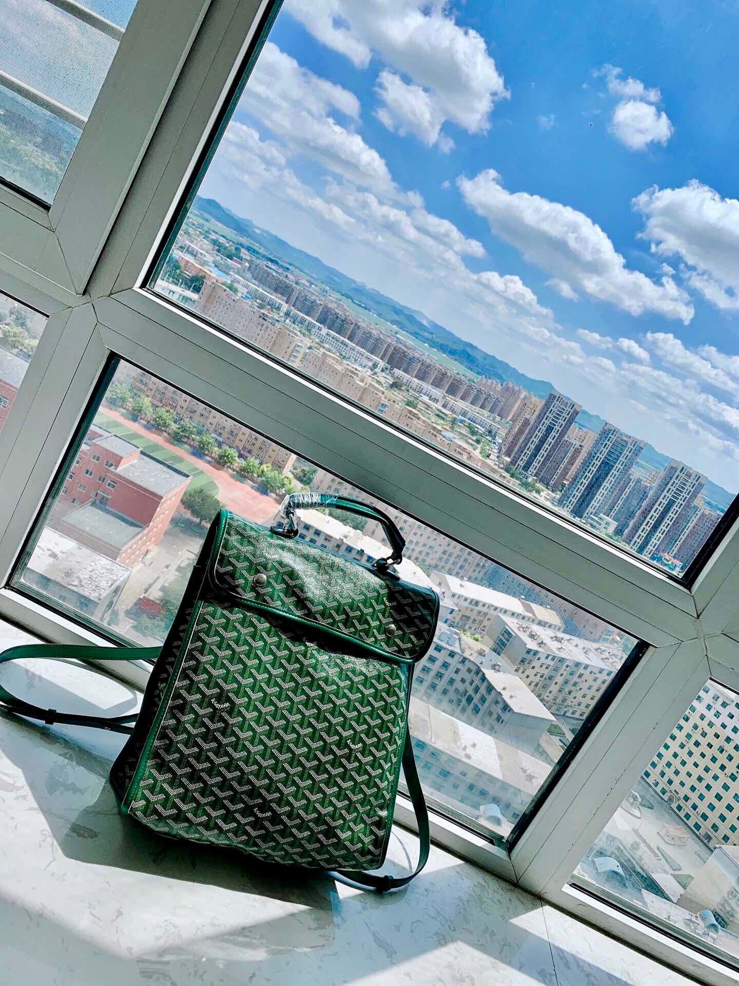 スーパーコピー代引き対応 ゴヤール Goyard バッグ 実物の写真 N品後払い国内発送送料無料安全必ず届く信用できるサイト